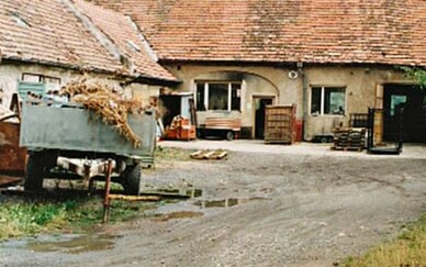 1993